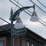 Picture of decorative street lamp with two lights and a sign that reads [Sakura]